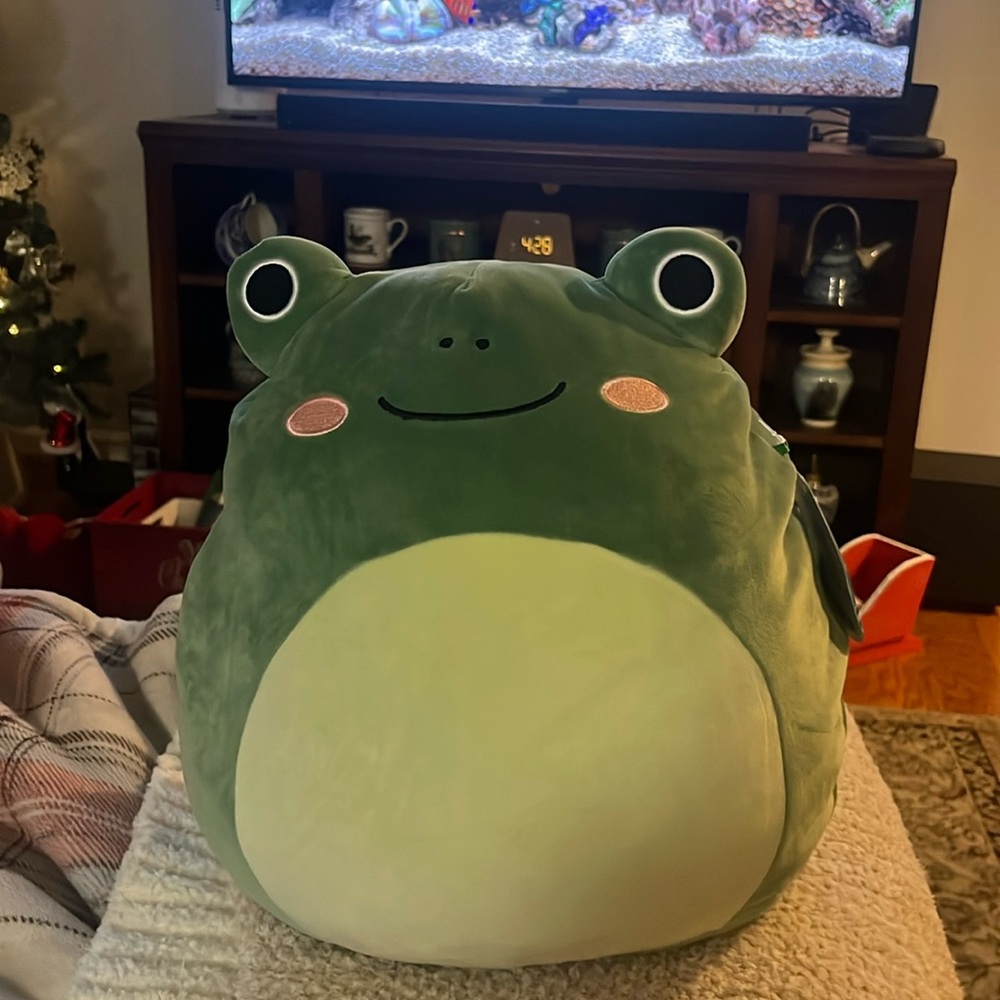 Gloria Frog Squishmallow
